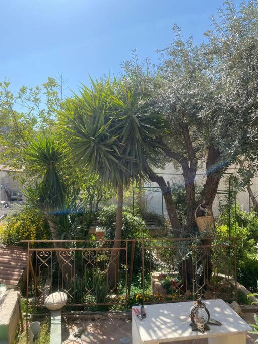 Central House With Beautiful Garden Amán Exterior foto