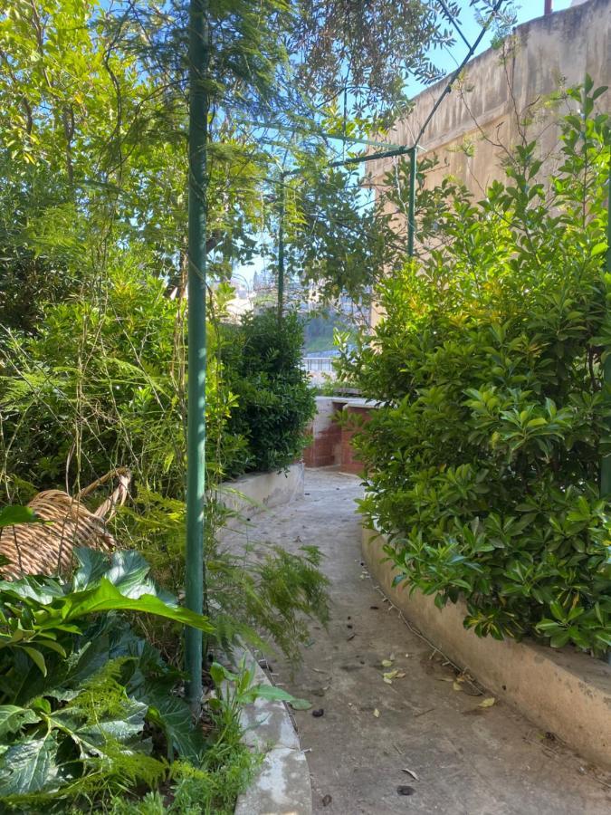 Central House With Beautiful Garden Amán Exterior foto