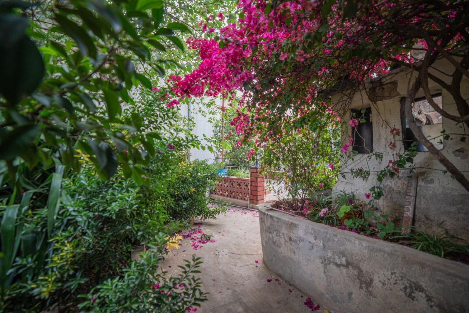Central House With Beautiful Garden Amán Exterior foto